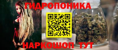 сатива Кунгур