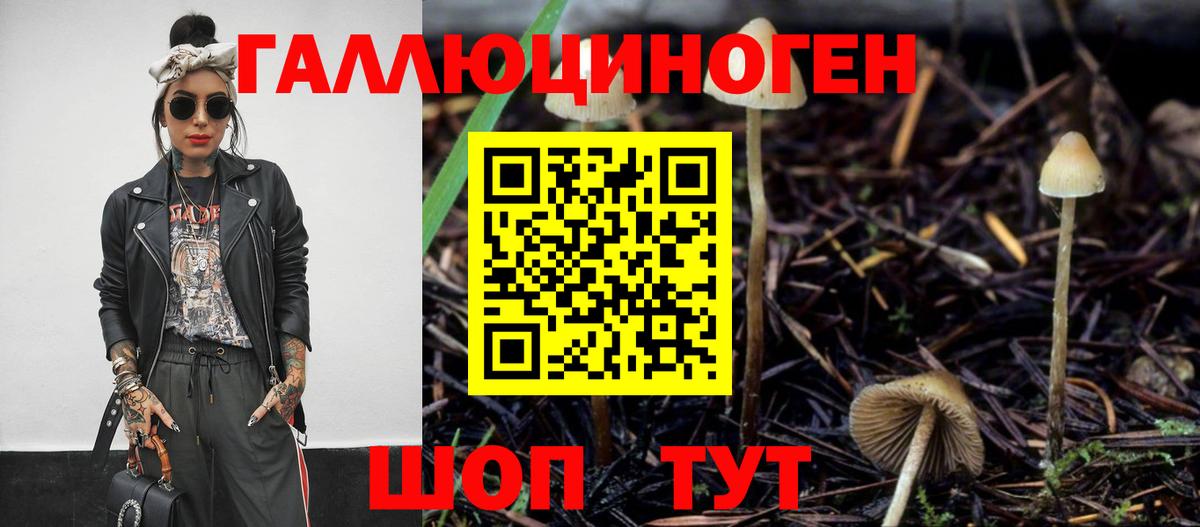 Ефремов  Галлюциногенные грибы Magic Shrooms  Вход с VPN 