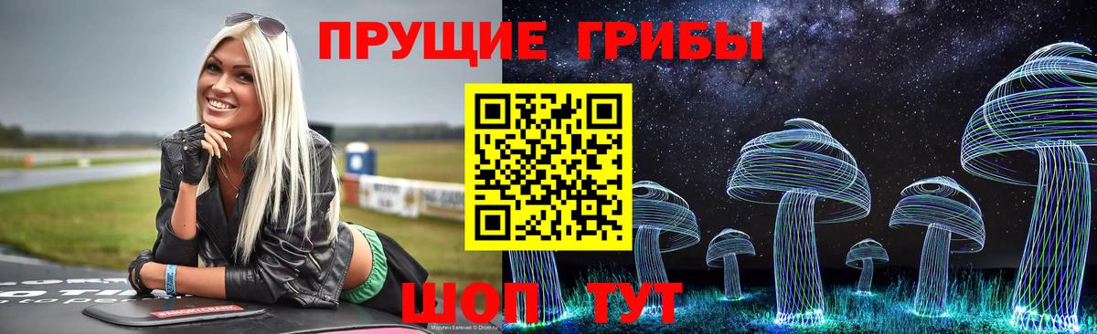 Псилоцибиновые грибы Psilocybe Ефремов